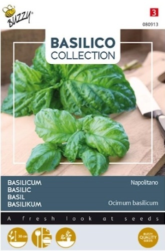 Bazalka Napolitano cca 1,5 g